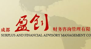 成都盈創(chuàng)財(cái)務(wù)咨詢(xún)管理 專(zhuān)業(yè)財(cái)務(wù)咨詢(xún)服務(wù)的領(lǐng)航者